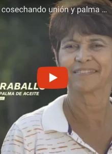 Imagen de capitulo