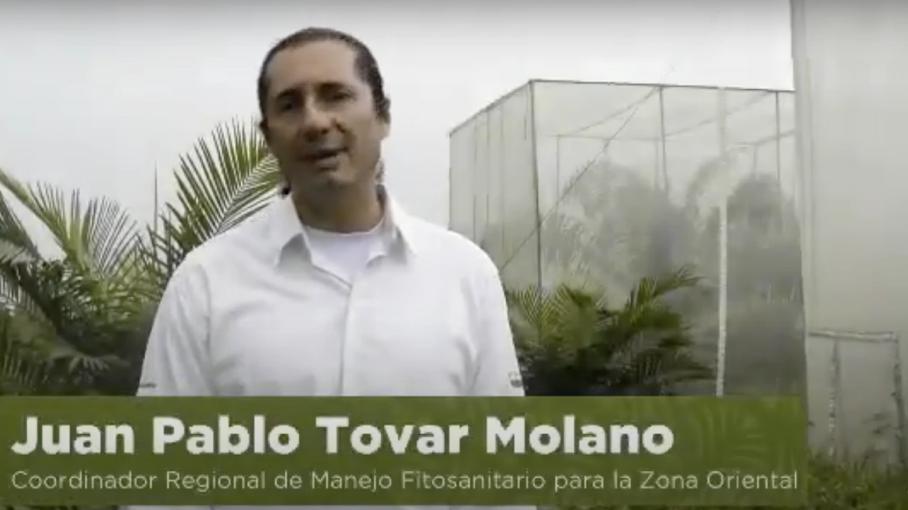 Juan Pablo Tovar Molano, Coordinador Regional de Manejo Fitosanitario para la Zona Oriental