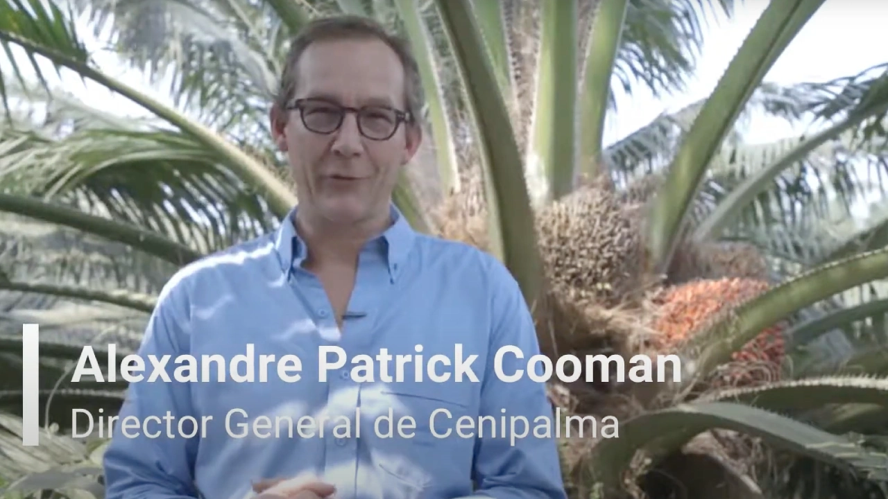 Alexandre Patrick Cooman, Director General de Cenipalma, de pie frente a una palmera aceitera con frutos.