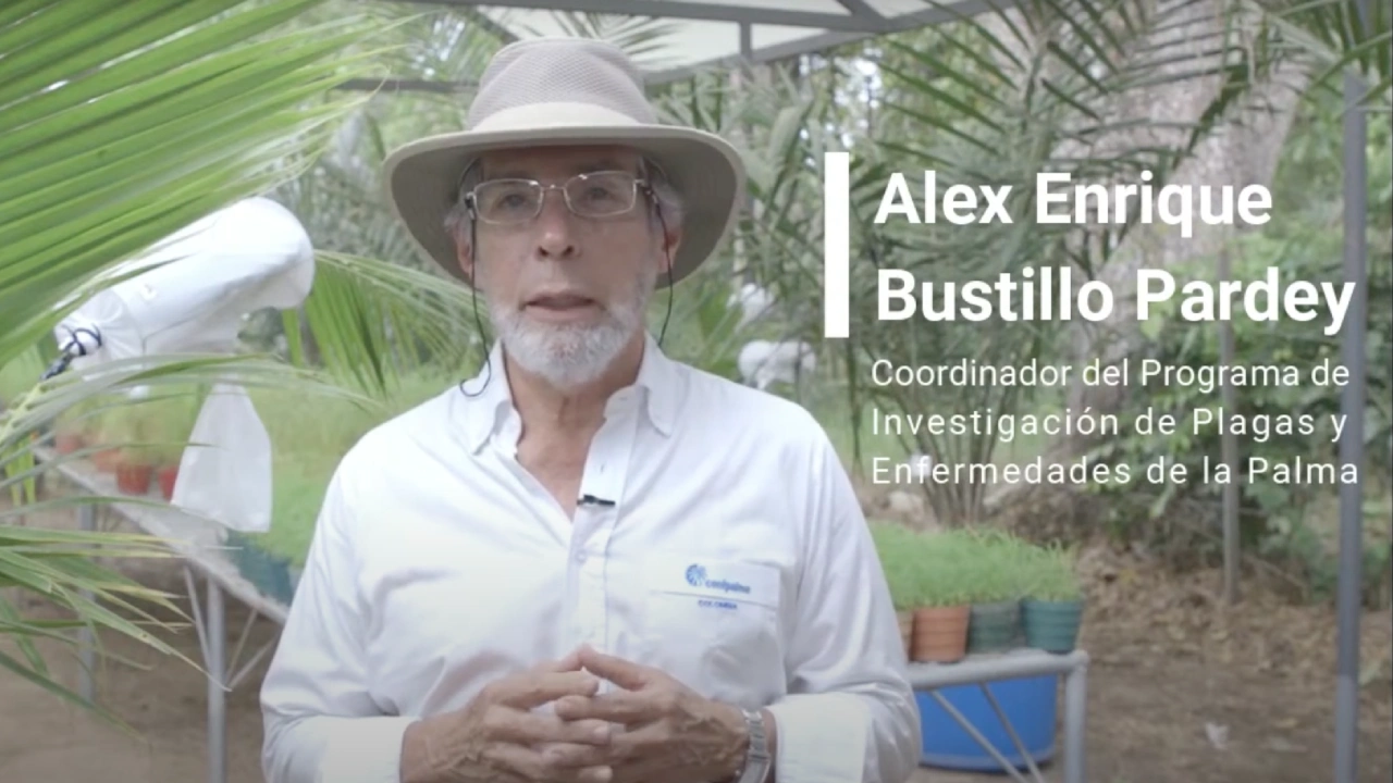 Alex Enrique Bustillo Pardey, Coordinador del Programa de Investigación de Plagas y Enfermedades de la Palma