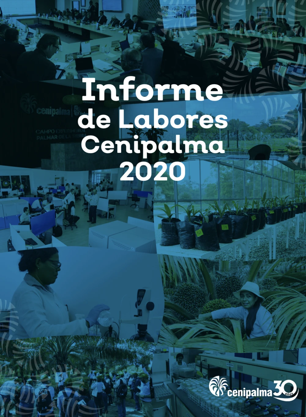 Imagen de capitulo