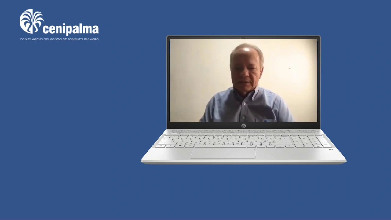 Hombre de mediana edad en videollamada