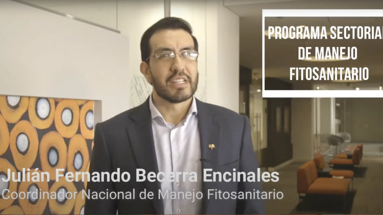 Julián Fernando Becerra Encinales, Coordinador Nacional de Manejo Fitosanitario, en un interior de oficina, con el título 'PROGRAMA SECTORIAL DE MANEJO FITOSANITARIO'