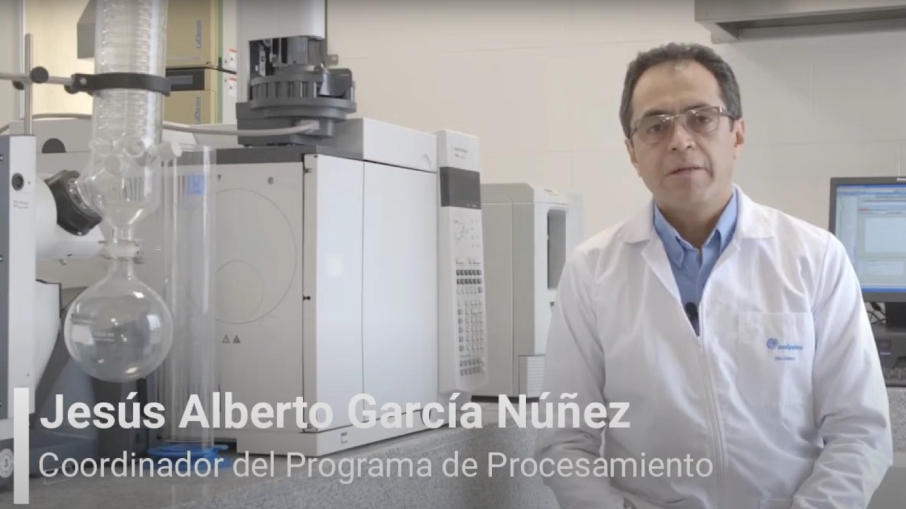 Jesús Alberto García Núñez, Coordinador del Programa de Procesamiento