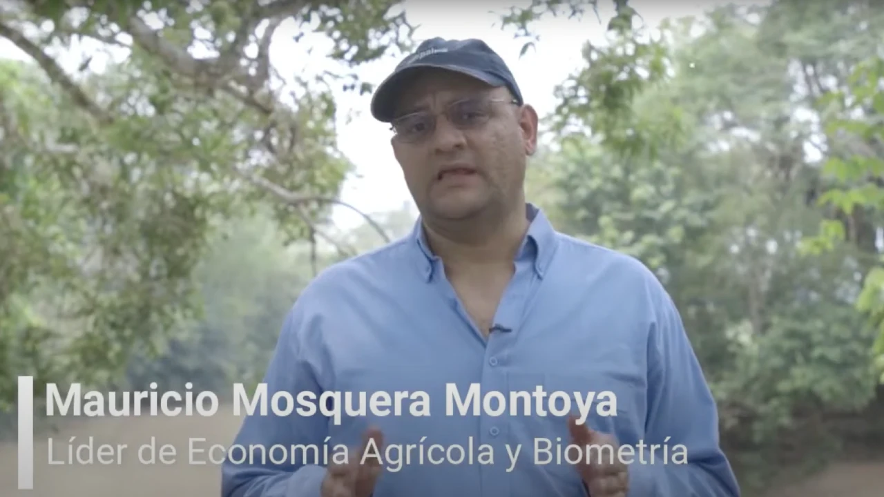 Mauricio Mosquera Montoya, Líder de Economía Agrícola y Biometría
