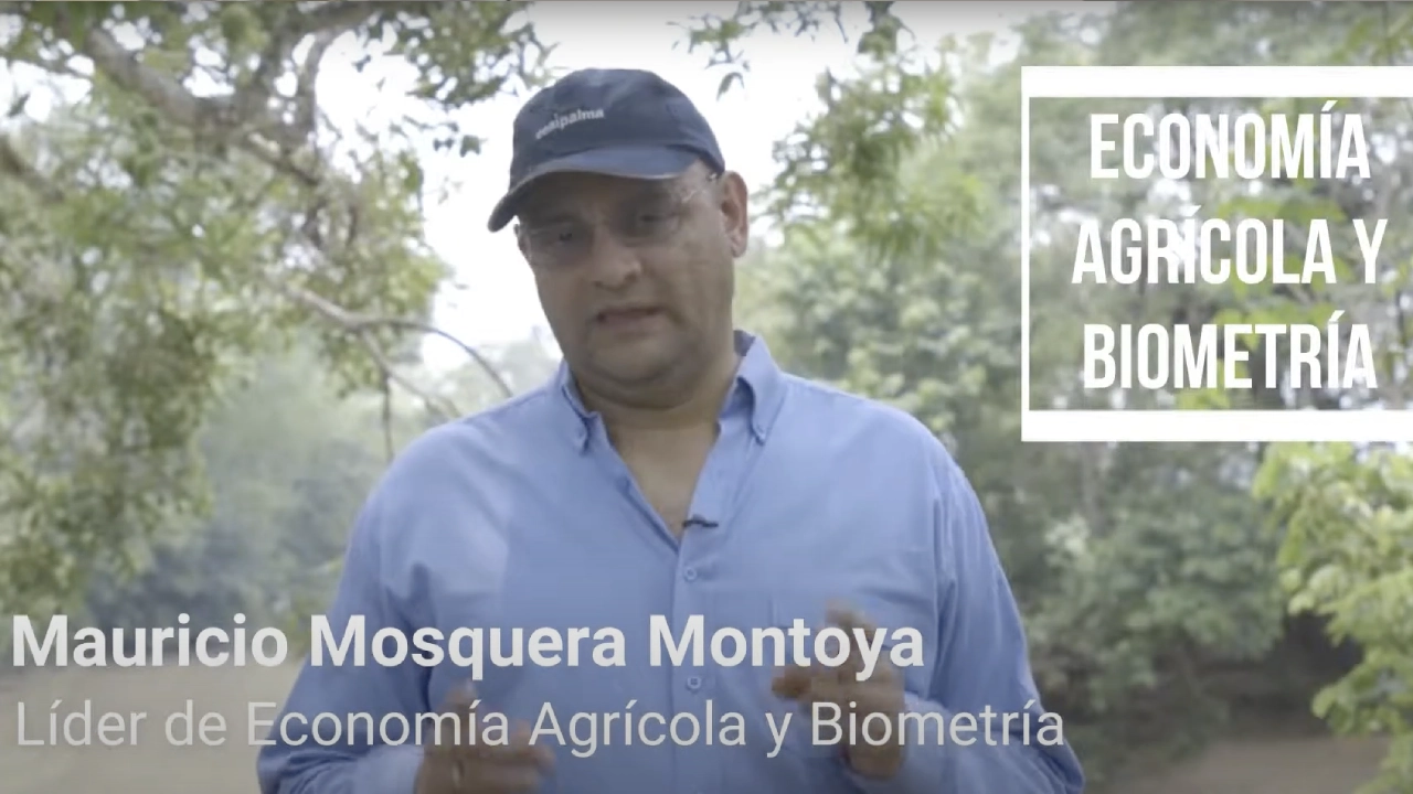 Mauricio Mosquera Montoya, Líder de Economía Agrícola y Biometría, hablando en un entorno natural. El texto superpuesto dice 'ECONOMÍA AGRÍCOLA Y BIOMETRÍA'