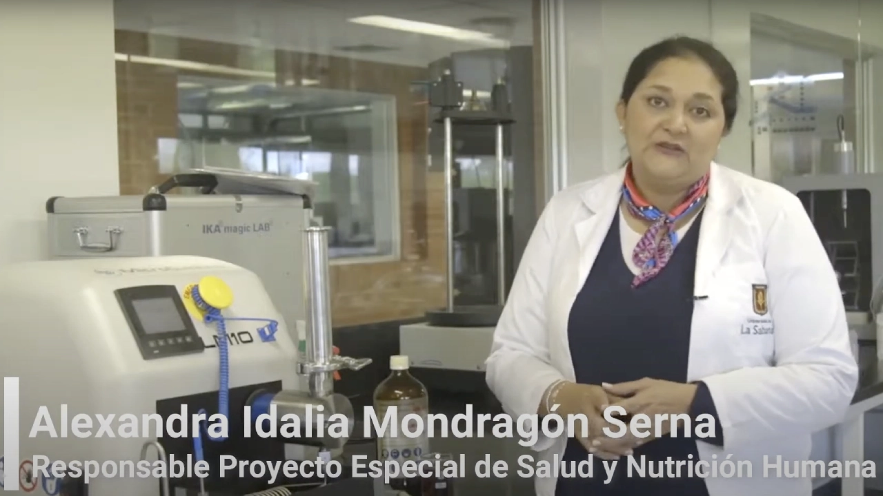 Alexandra Idalia Mondragón Serna, Responsable de Proyecto