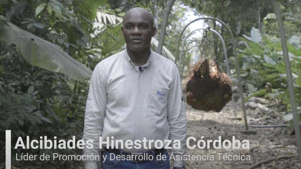 Alcibiades Hinestroza Córdoba, Líder de Promoción y Desarrollo de Asistencia Técnica, de pie en un campo experimental