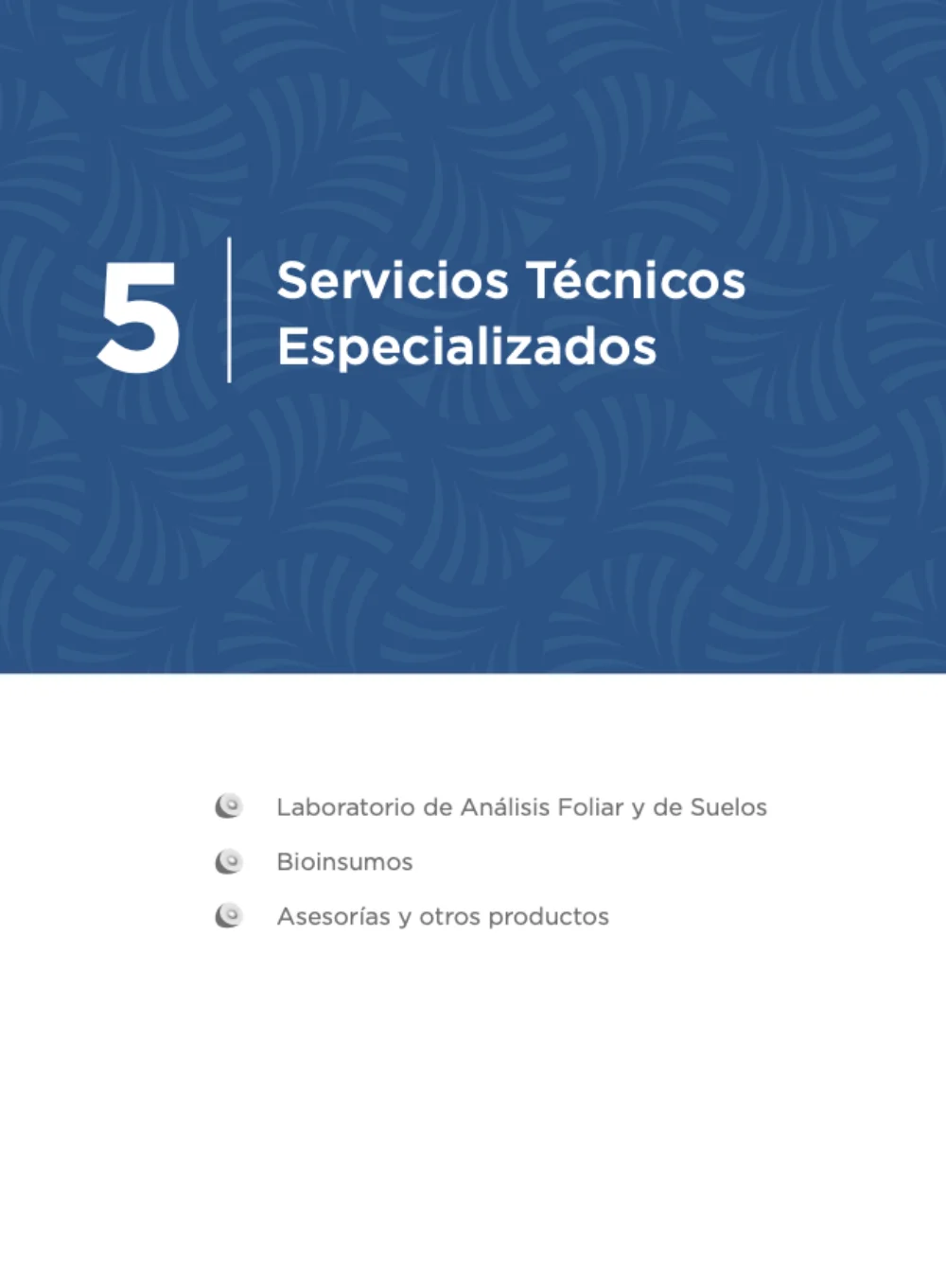Imagen de capitulo