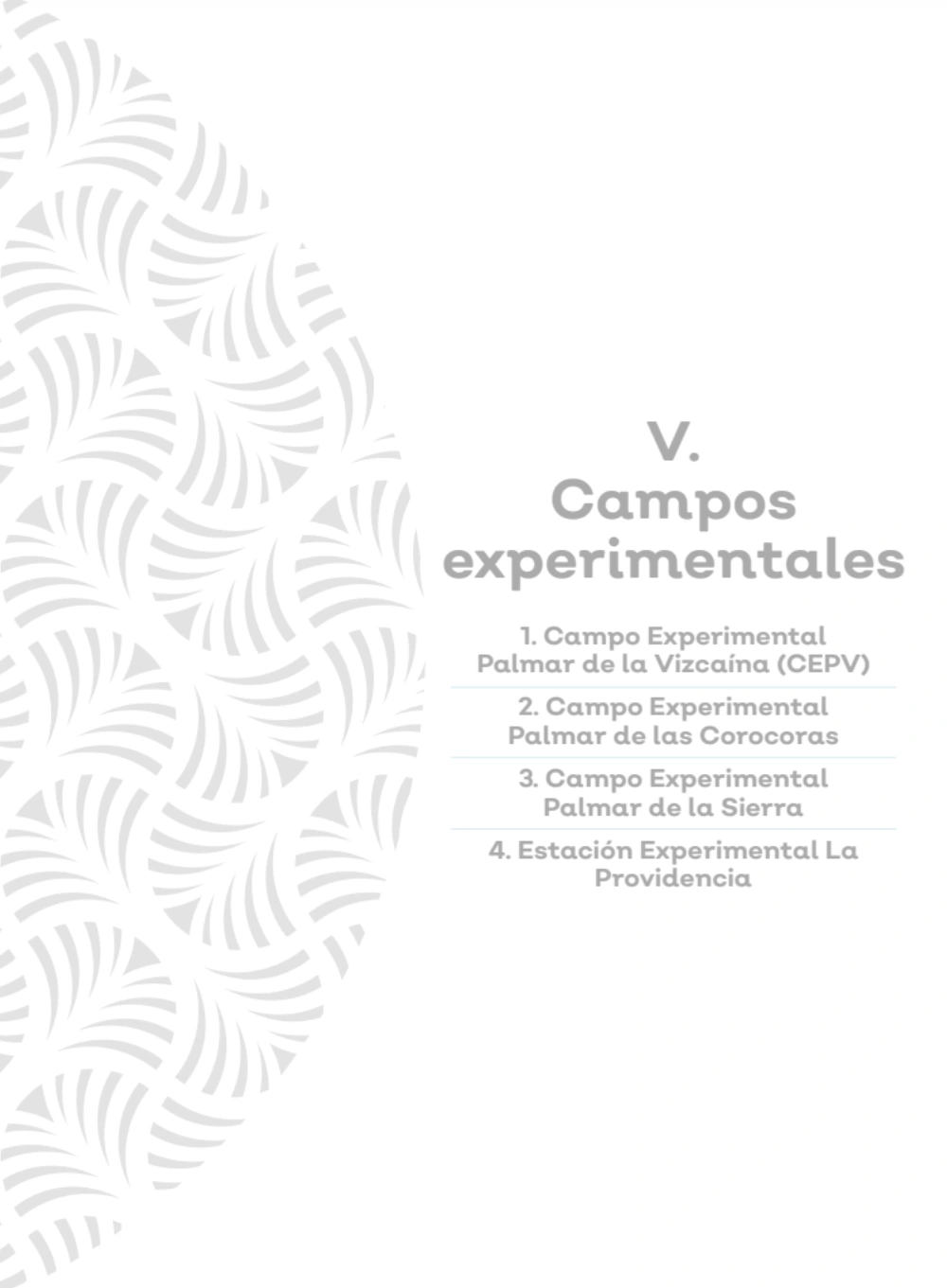 Imagen de capitulo