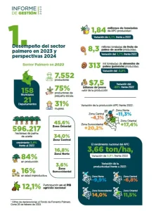 Infografía del "Informe de Gestión 2023" sobre el Desempeño del sector palmero, que detalla cifras de producción, productores, hectáreas y variaciones regionales de productividad.