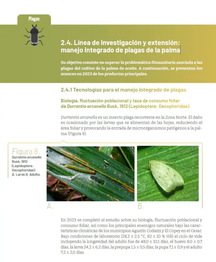 Imagen de capitulo