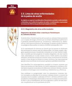 Sección '2.3. Otras enfermedades de la palma de aceite', enfocada en el diagnóstico de añublo foliar (Pestalotiopsis).