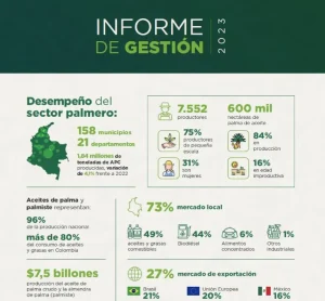 Infografía del "Informe de Gestión 2023" resumiendo el desempeño del sector palmero en cifras clave: producción, productores, hectáreas y distribución del mercado.