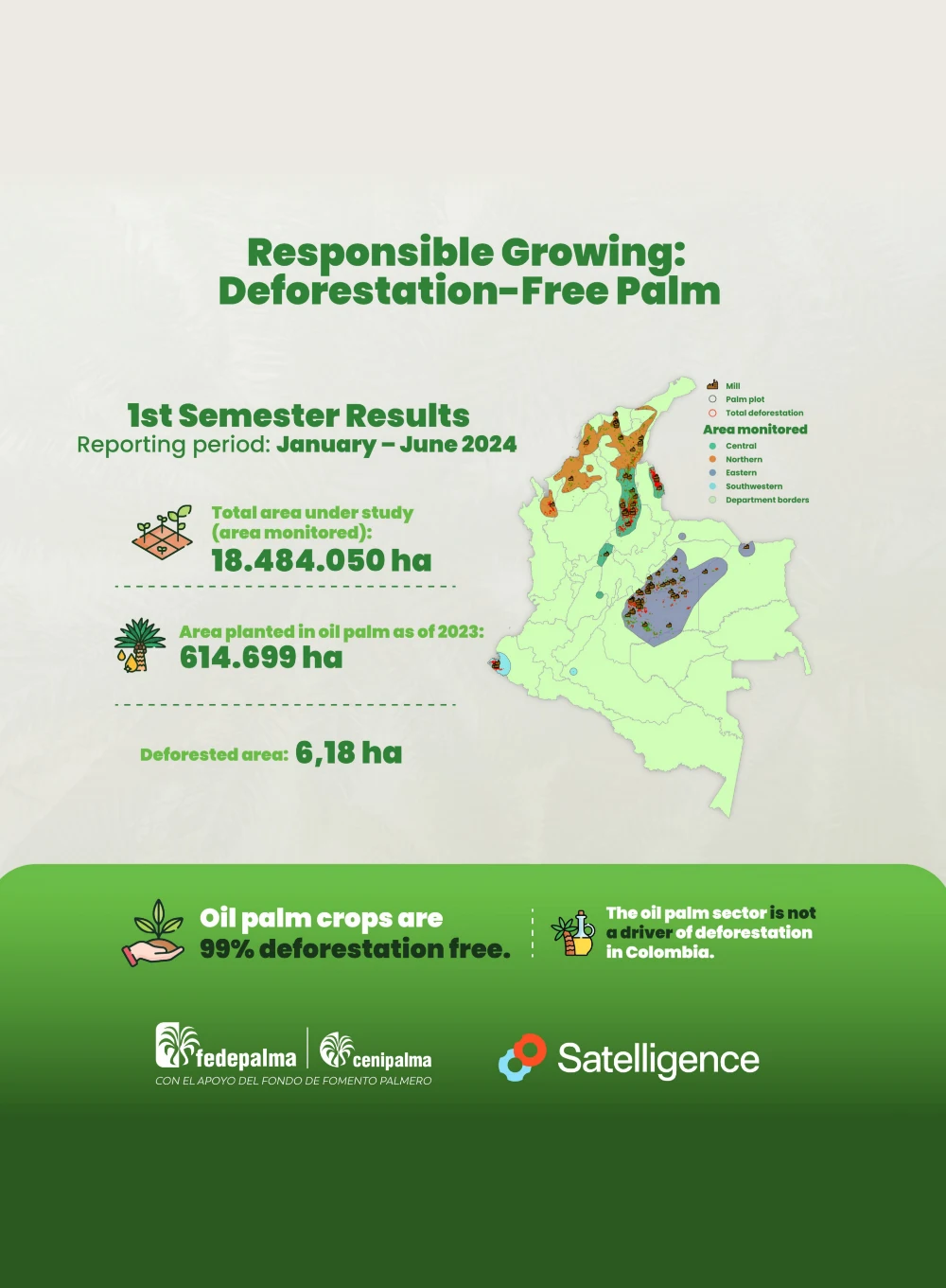 Infographic 'Responsible Growing: Deforestation-Free Palm' with results from the first half of 2024, highlighting the low deforested area (6.18 ha) and a map showing the palm cultivation areas in Colombia.