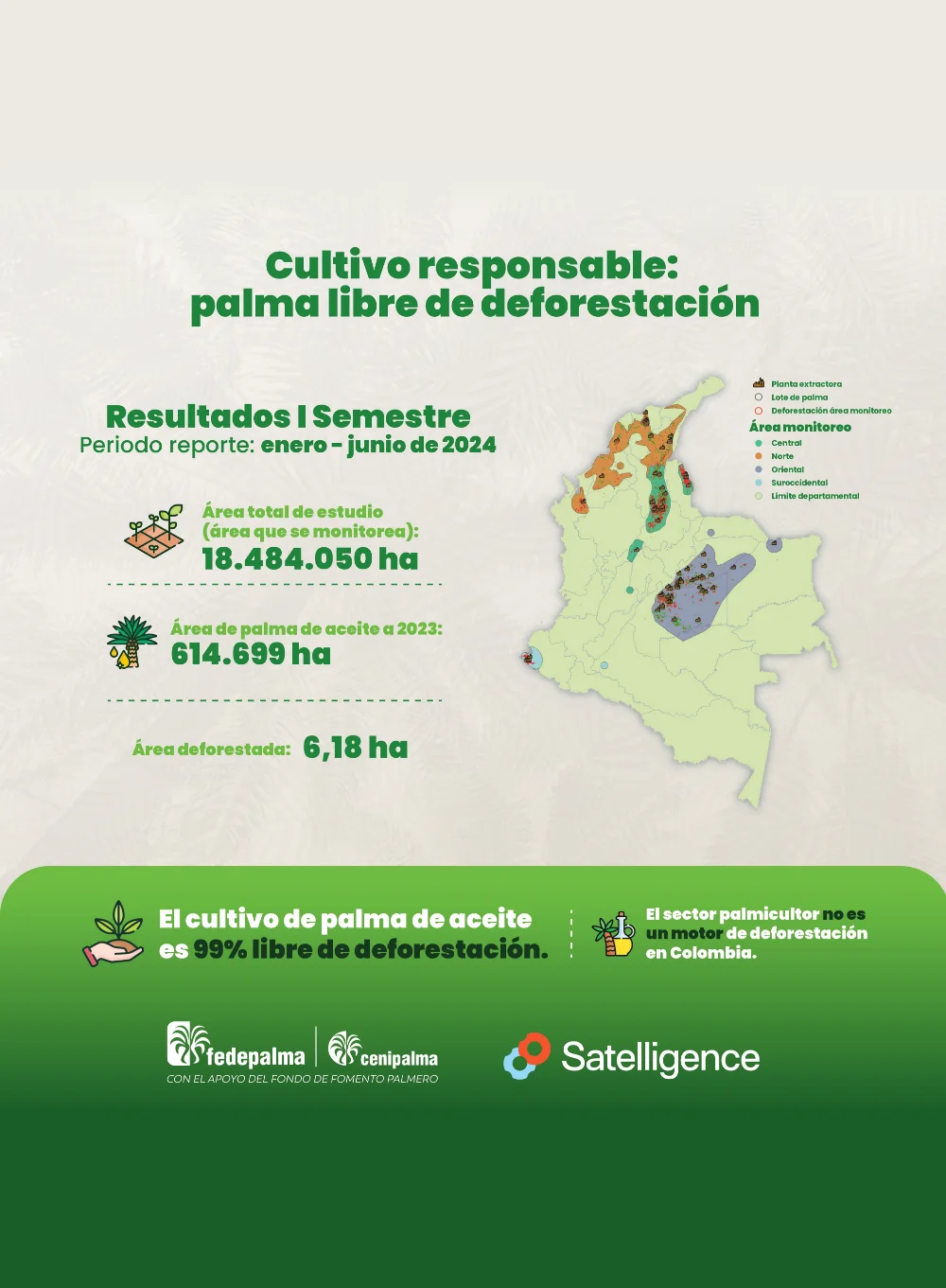 Infografía 'Cultivo responsable: palma libre de deforestación' con resultados del I Semestre 2024, destacando el área total de estudio (18.484.050 ha) y el mapa de las zonas palmeras de Colombia.