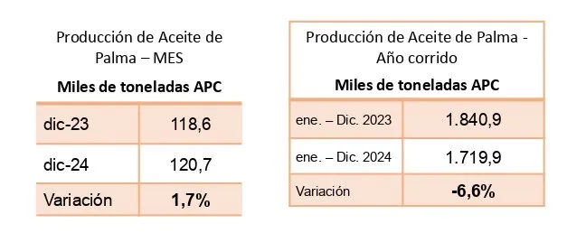 Dos tablas que muestran la producción de aceite de palma en miles de toneladas (APC) para el mes de diciembre 2024 Y 2023, con una variación positiva del 1,7%, y para el año corrido, con una variación negativa del -6,6%.
