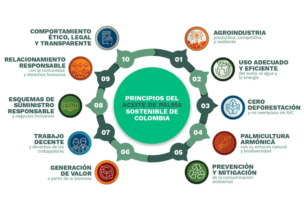 Principios clave para una palmicultura sostenible en Colombia Principios clave para una palmicultura sostenible en Colombia