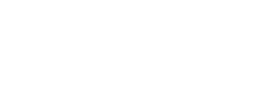 Logo club palmero