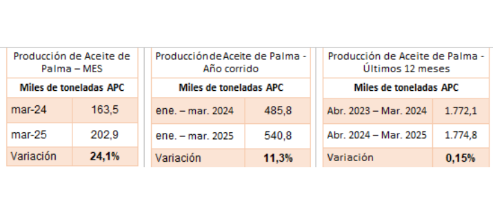 Tablas de producción de aceite de palma (miles de toneladas): variación mensual (+24,1%), año corrido (+11,3%) y últimos 12 meses (+0,15%), todas positivas.