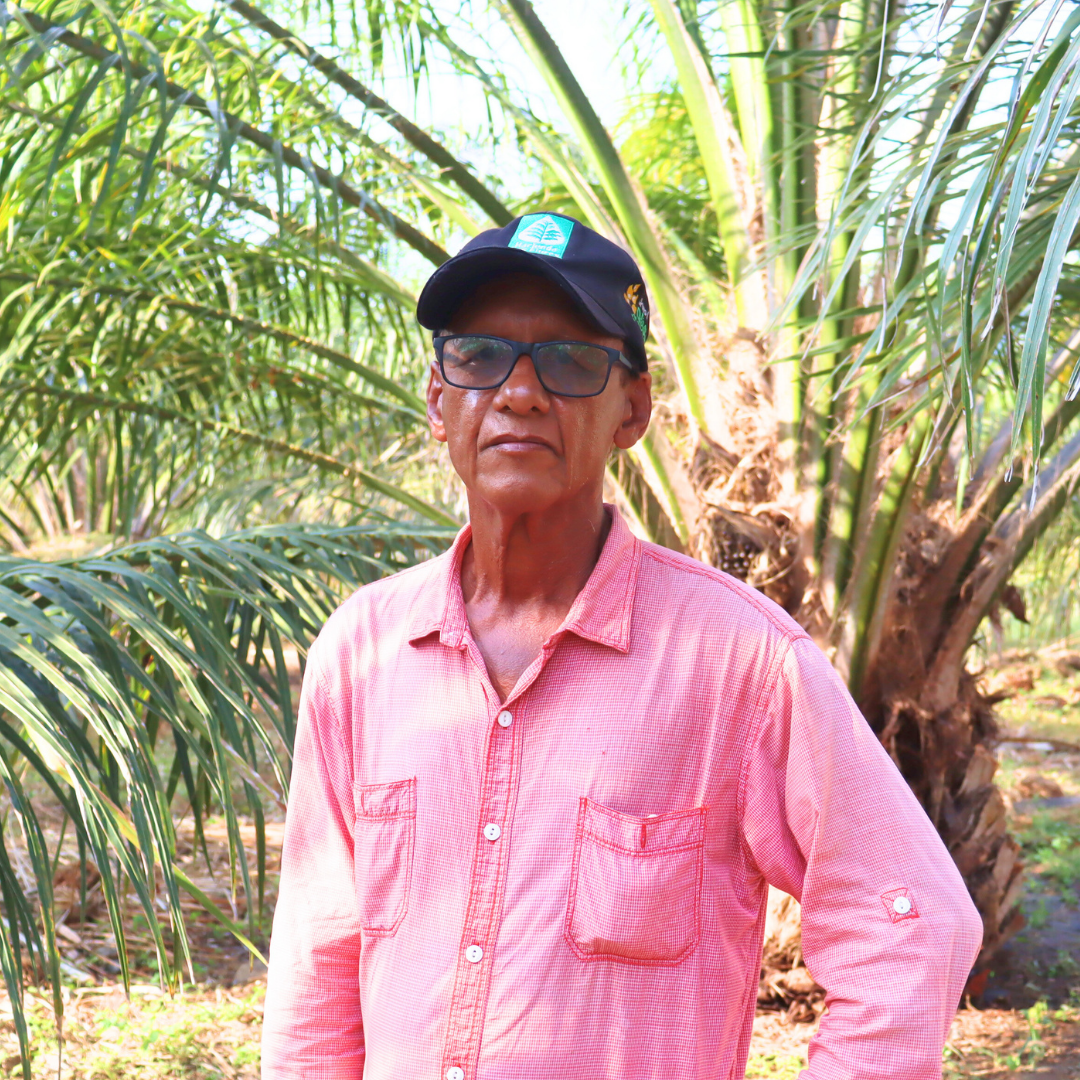 Manuel Isaías Pernet Ruiz