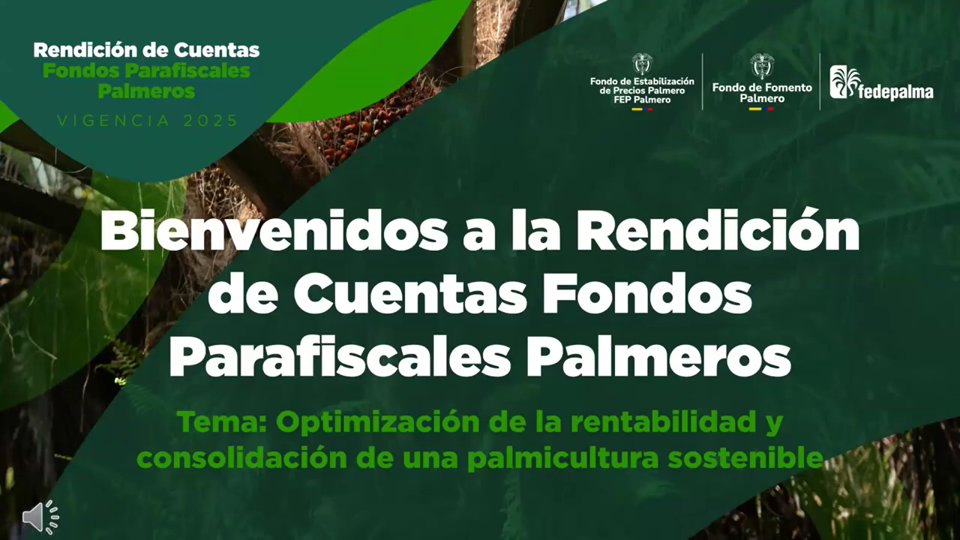 Rendición de cuentas 2025 - Optimización de la rentabilidad