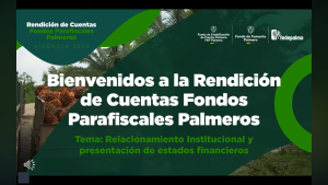 Rendición de cuentas 2025 - Representacion gremial y presentación deestados financieros