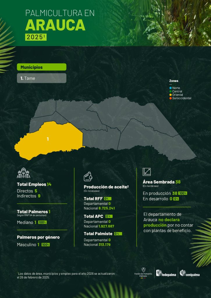 Mapa del departamento de Arauca que muestra la distribución y principales datos sobre la producción de palma de aceite en la región, incluyendo áreas cultivadas, municipios productores y cifras representativas del sector palmicultor.
