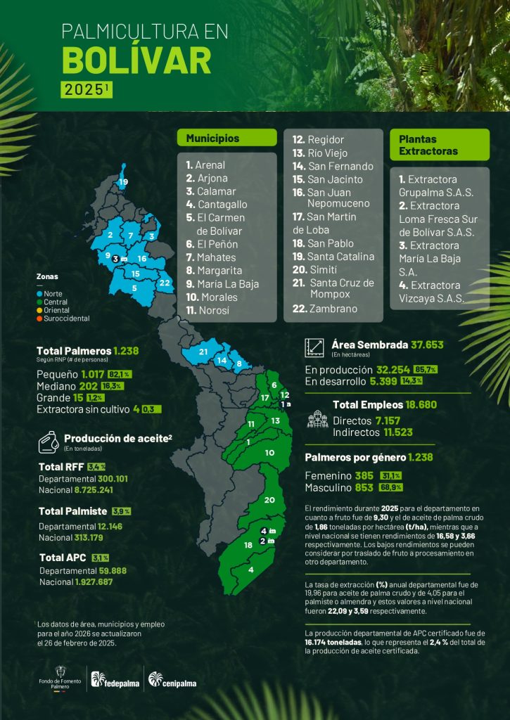 Mapa del departamento de Bolivar que muestra la distribución y principales datos sobre la producción de palma de aceite en la región, incluyendo áreas cultivadas, municipios productores y cifras representativas del sector palmicultor.