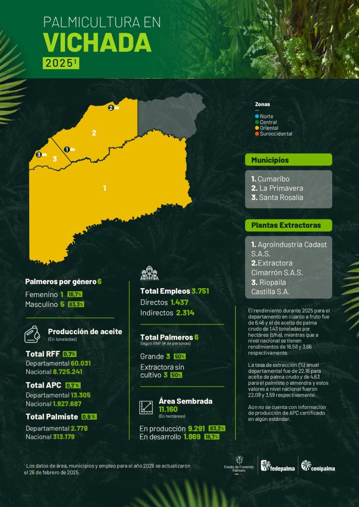Mapa del departamento de Vichada que muestra la distribución y principales datos sobre la producción de palma de aceite en la región, incluyendo áreas cultivadas, municipios productores y cifras representativas del sector palmicultor.

